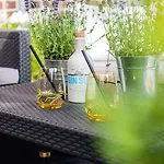 Pensión Zum Lindenhof 4*